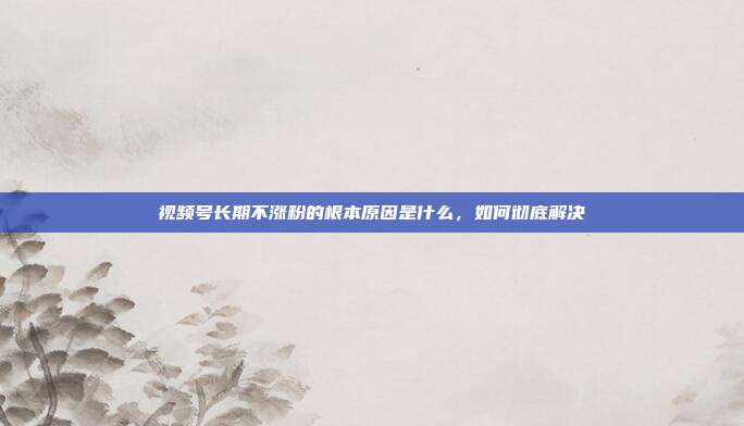 视频号长期不涨粉的根本原因是什么，如何彻底解决