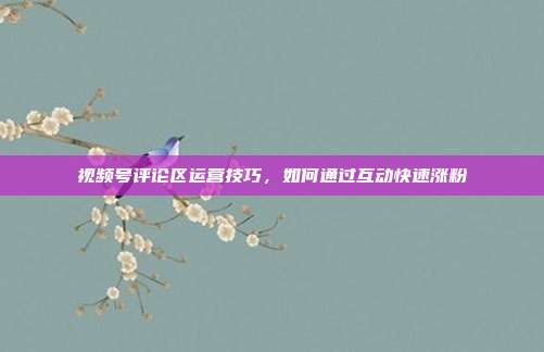 视频号评论区运营技巧，如何通过互动快速涨粉