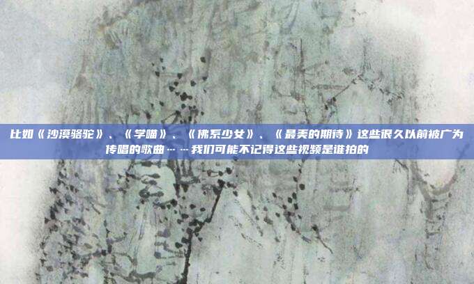 比如《沙漠骆驼》、《学喵》、《佛系少女》、《最美的期待》这些很久以前被广为传唱的歌曲……我们可能不记得这些视频是谁拍的