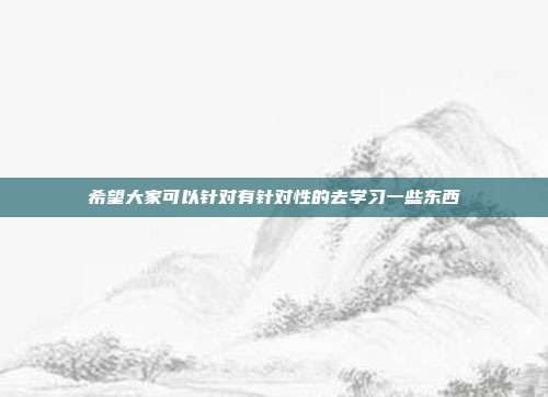 希望大家可以针对有针对性的去学习一些东西