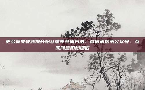 更多有关快速提升粉丝量等具体方法、微信请搜索公众号:互联网营销粉刷匠