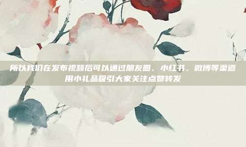所以我们在发布视频后可以通过朋友圈、小红书、微博等渠道用小礼品吸引大家关注点赞转发