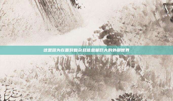 这是因为在面对复杂且信息量巨大的外部世界