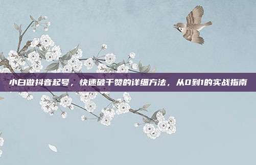 小白做抖音起号，快速破千赞的详细方法，从0到1的实战指南