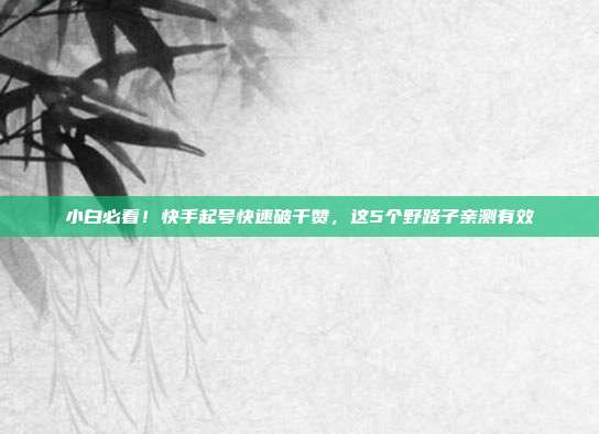 小白必看！快手起号快速破千赞，这5个野路子亲测有效