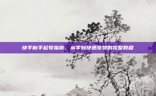 快手新手起号指南，从零到快速涨赞的完整教程