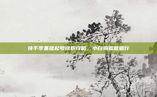 快手零基础起号涨粉攻略，小白照着做就行