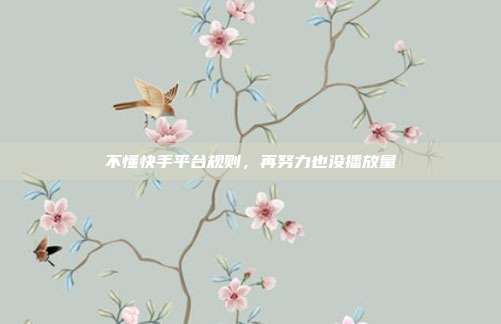不懂快手平台规则，再努力也没播放量