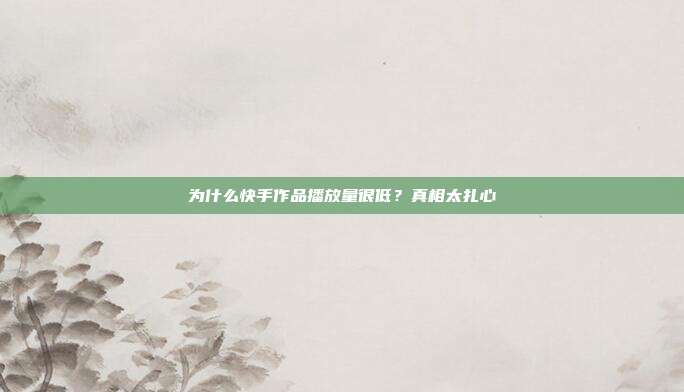 为什么快手作品播放量很低？真相太扎心