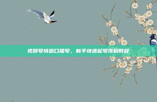 视频号情感口播号，新手快速起号涨粉教程