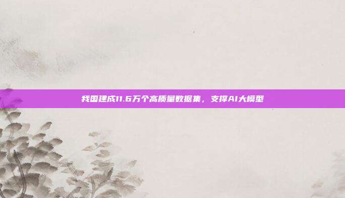 我国建成11.6万个高质量数据集，支撑AI大模型
