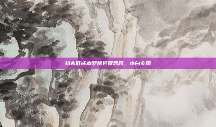 抖音低成本涨赞运营思路，小白专用