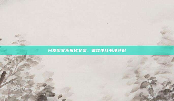 只发图文不优化文案，难怪小红书没评论