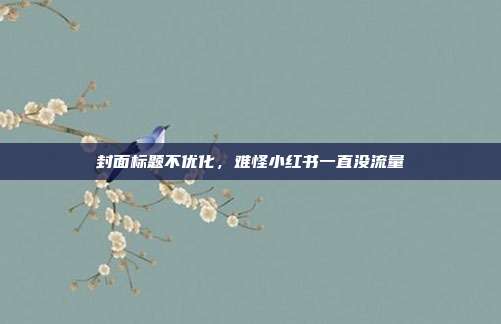 封面标题不优化，难怪小红书一直没流量