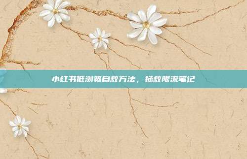 小红书低浏览自救方法，拯救限流笔记