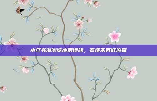 小红书涨浏览底层逻辑，看懂不再低流量