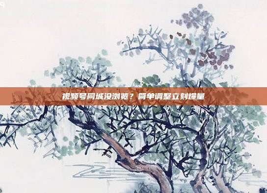 视频号同城没浏览？简单调整立刻爆量