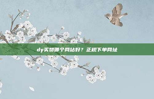 dy买赞哪个网站好？正规下单网址