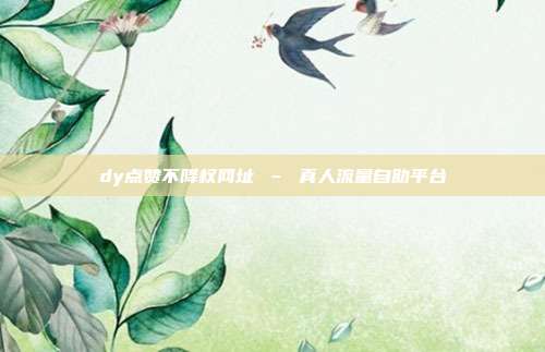 dy点赞不降权网址 – 真人流量自助平台