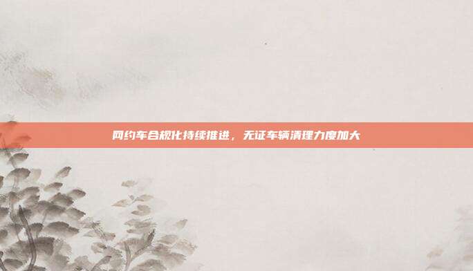网约车合规化持续推进，无证车辆清理力度加大