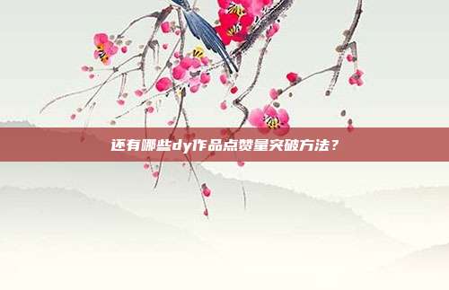 还有哪些dy作品点赞量突破方法?