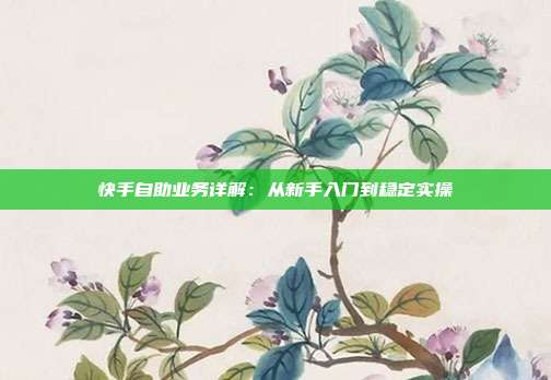 快手自助业务详解：从新手入门到稳定实操