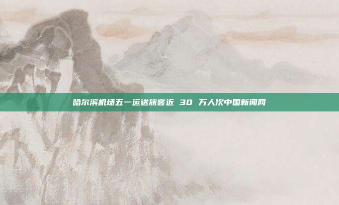 哈尔滨机场五一运送旅客近 30 万人次中国新闻网