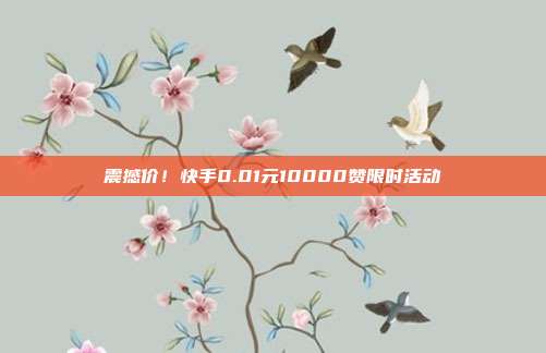 震撼价！快手0.01元10000赞限时活动