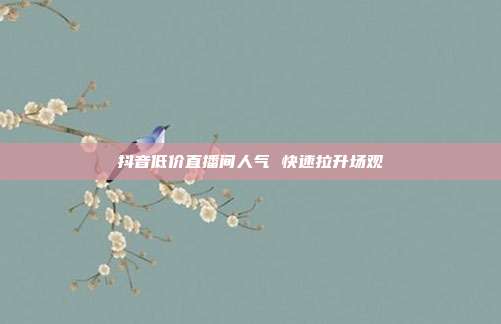 抖音低价直播间人气 快速拉升场观