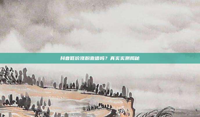 抖音低价涨粉靠谱吗？真实实测揭秘