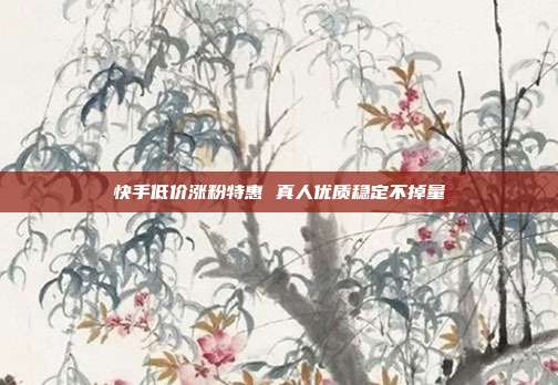 快手低价涨粉特惠 真人优质稳定不掉量