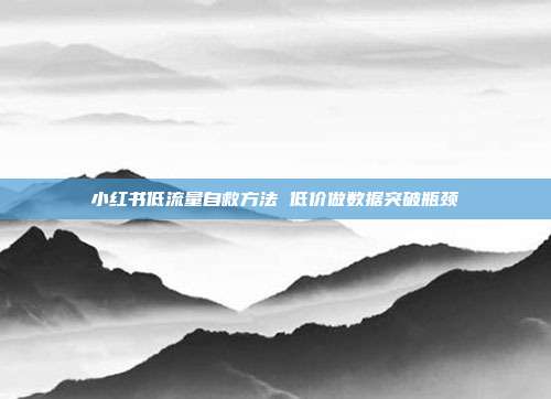 小红书低流量自救方法 低价做数据突破瓶颈