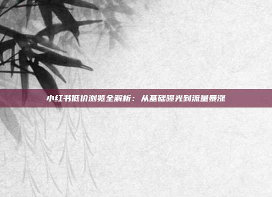小红书低价浏览全解析：从基础曝光到流量暴涨