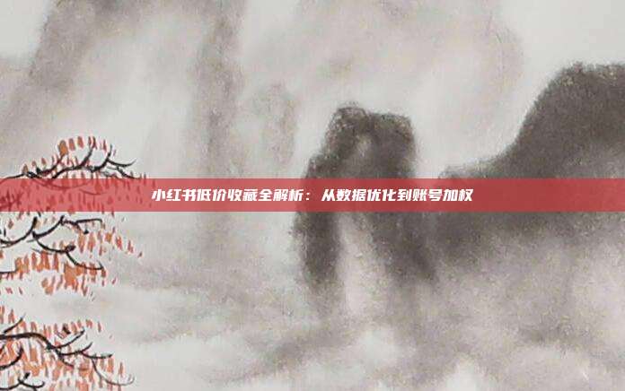 小红书低价收藏全解析：从数据优化到账号加权
