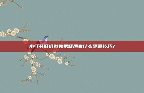 小红书低价做数据背后有什么隐藏技巧？