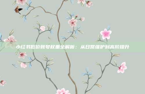 小红书低价账号权重全解析：从日常维护到高阶提升