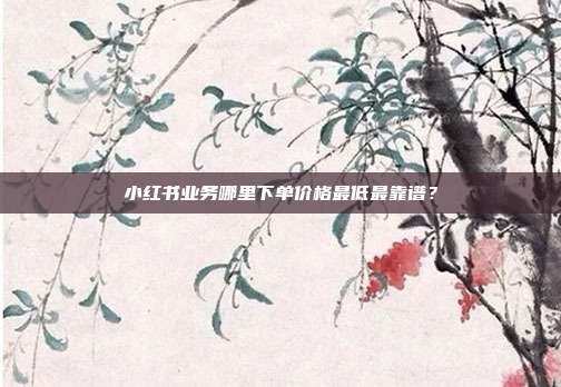 小红书业务哪里下单价格最低最靠谱？