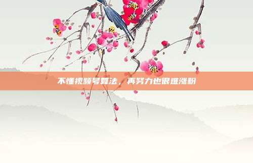 不懂视频号算法，再努力也很难涨粉