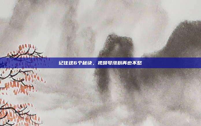 记住这6个秘诀，视频号涨粉再也不愁