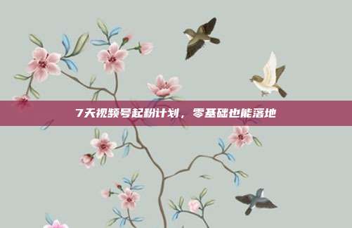 7天视频号起粉计划，零基础也能落地