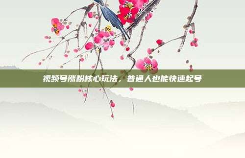 视频号涨粉核心玩法，普通人也能快速起号