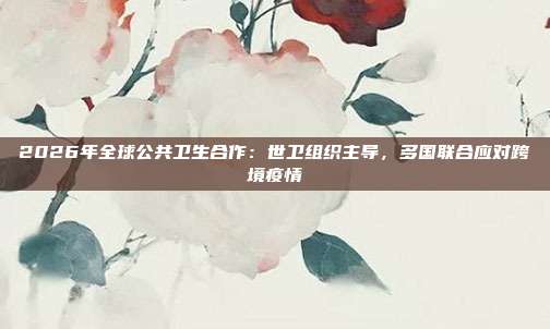 2026年全球公共卫生合作：世卫组织主导，多国联合应对跨境疫情