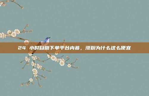 24 小时自助下单平台内幕，涨粉为什么这么便宜