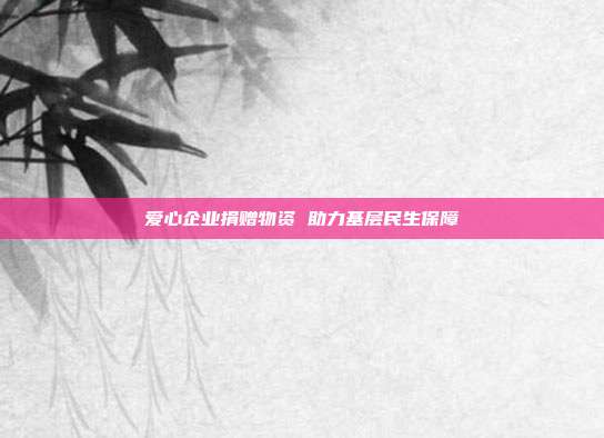 爱心企业捐赠物资 助力基层民生保障