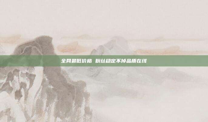 全网最低价格 粉丝稳定不掉品质在线
