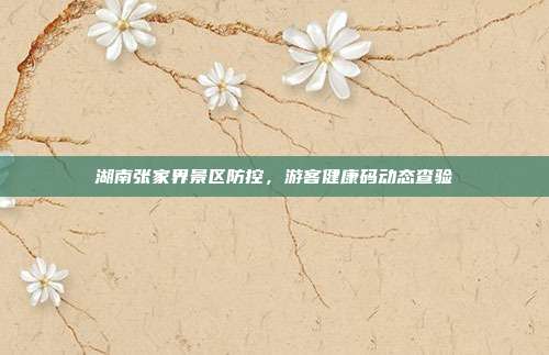 湖南张家界景区防控,游客健康码动态查验