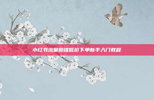 小红书流量助推低价下单新手入门教程