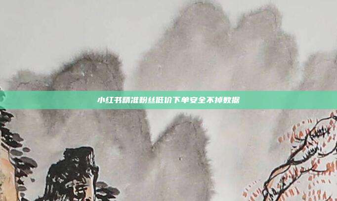 小红书精准粉丝低价下单安全不掉数据