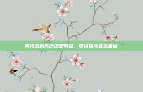青海玉树高原流感防控,物资保障直达基层