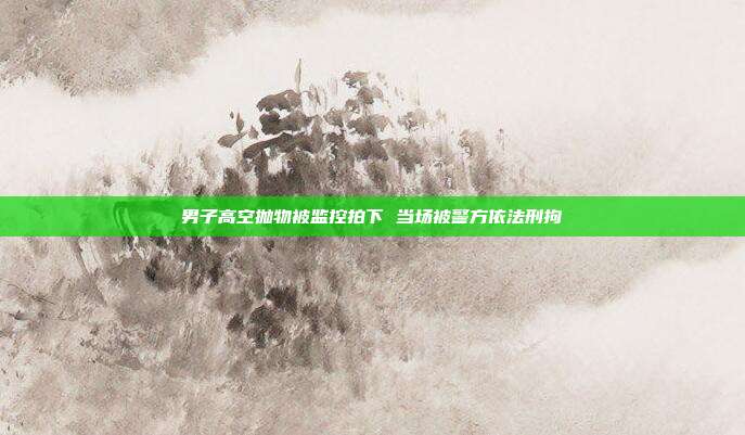 男子高空抛物被监控拍下 当场被警方依法刑拘